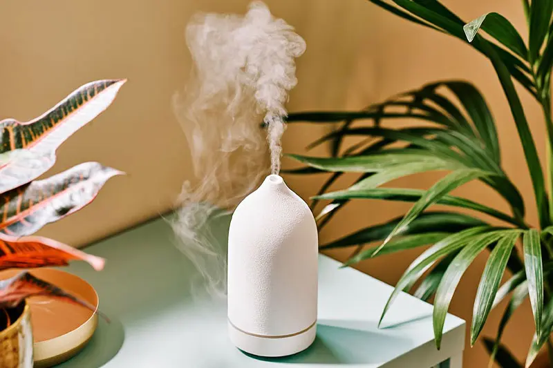 تنظیم رطوبت محیط زندگی